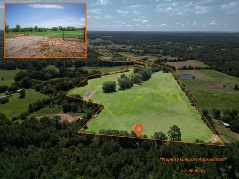 tbd Cr 401 S, Henderson, TX 75654