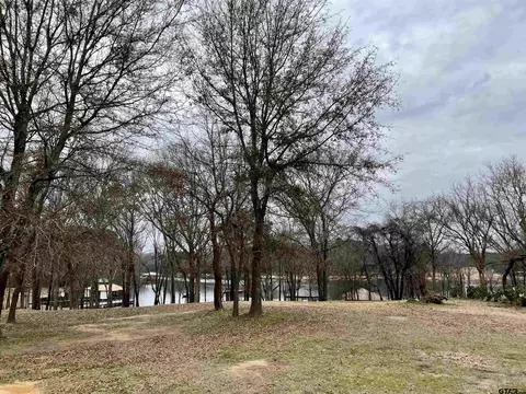 21431 Stevenson Rd, Frankston, TX 75763