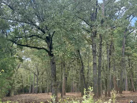 1413 Vanderbilt Dr, Tyler, TX 75703