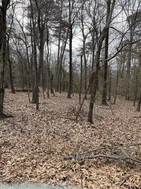 tbd Cr 2433, Pittsburg, TX 75686
