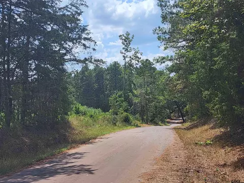 Tract 1 Tbd County Road 1762, Linden, TX 75563