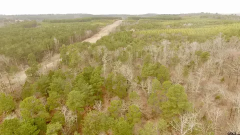 tbd Cr 2307 Beasley Rd, Lone Star, TX 75668