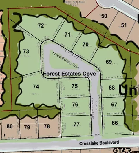 lot66 Forest Estates Cv, Tyler, TX 75703