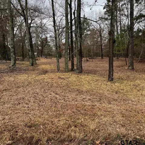 0 N Lakeview Dr, Troup, TX 75789