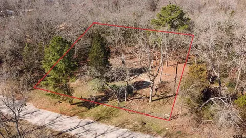 407 And 411 Long Shadow, Murchison, TX 75778 photo 3