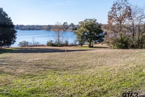 00 E Lake Dr, Murchison, TX 75778 photo 14