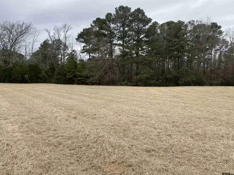 tbd Lot 21 Cr 1314, Rusk, TX 75785