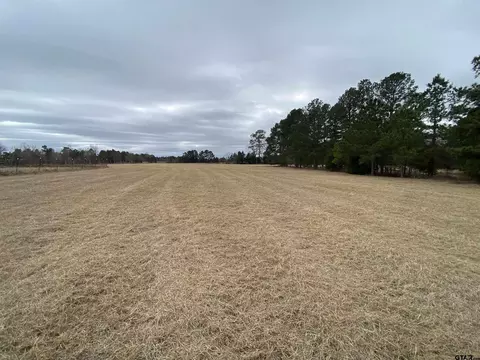 tbd Lot 11 Cr 1314, Rusk, TX 75785