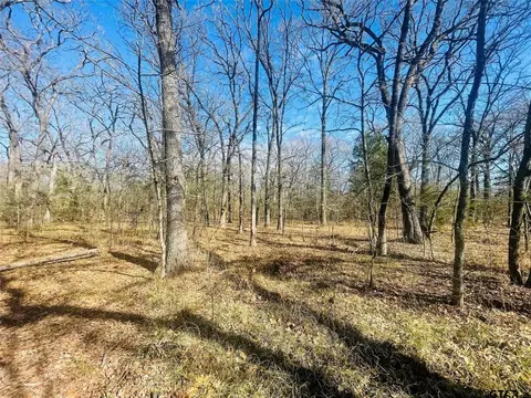 5 Acres County Road 1216, Cumby, TX 75433