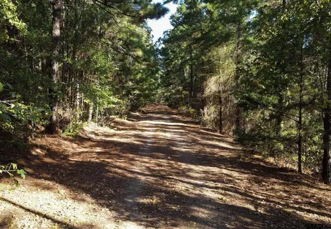 tbd Fm 3079, Brownsboro, TX 75756
