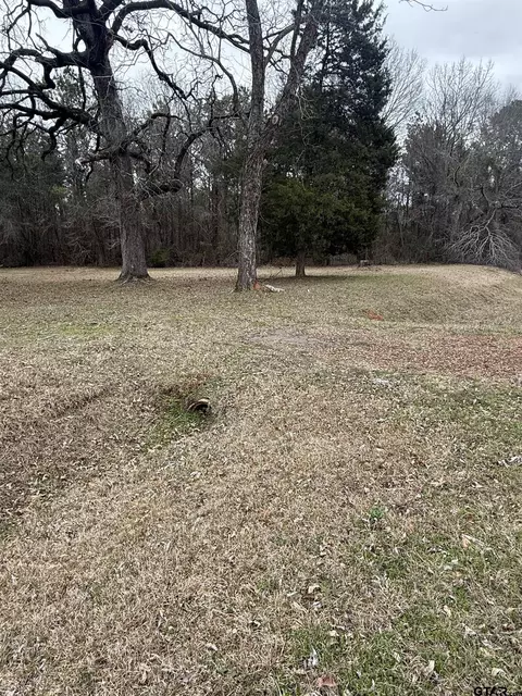 1043 Fm 2682, Karnack, TX 75661
