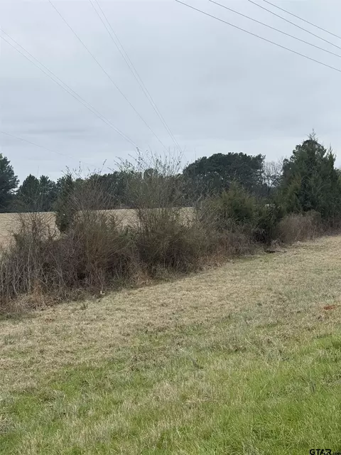 tbd Fm 2682, Karnack, TX 75661