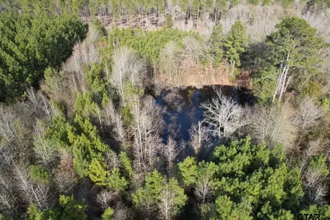 Tract C County Road 4037, Timpson, TX 75975