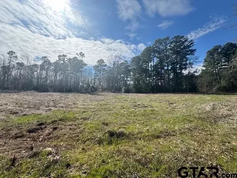 tbd Cr 224 #LOT 3, Arp, TX 75750