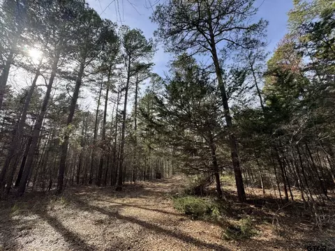 14313 County Road 426, Lindale, TX 75771