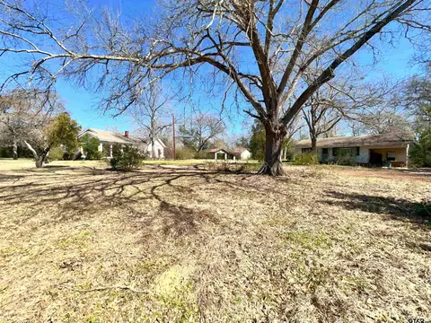509 Kickapoo St, Frankston, TX 75763 photo 10