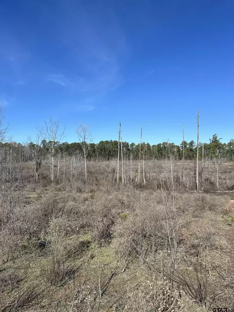 tbd An Cr 346, Palestine, TX 75803