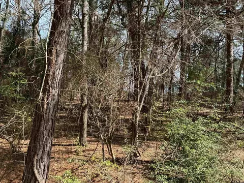 393 Christine Dr, Bullard, TX 75757