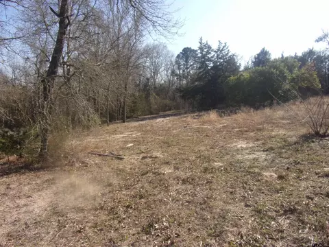 592 Maple Dr, Murchison, TX 75778