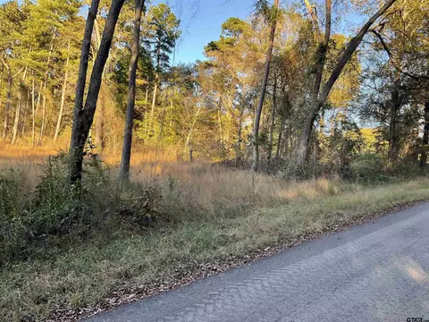 13853 Cr 291, Tyler, TX 75707