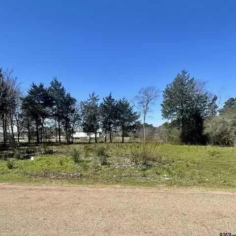 133 W Royal Dr, Bullard, TX 75757
