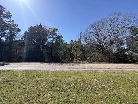 1918 Cr 413, Tyler, TX 75704