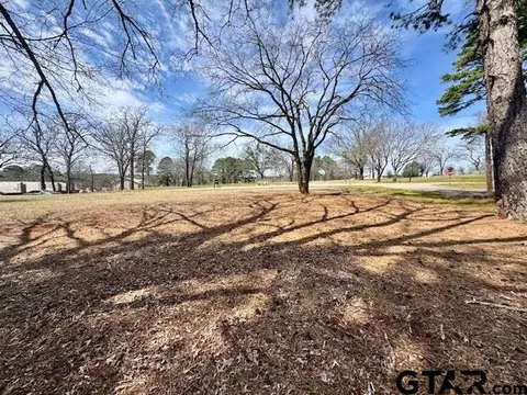 18328 Windjammer Pl, Flint, TX 75762