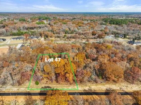 tbd Pr 6306 #LOT 47, Mineola, TX 75773