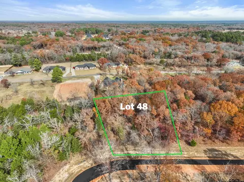 tbd Pr 6305 Lot Of 48, Mineola, TX 75773
