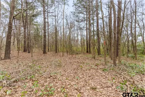 250 E Pliler Precise, Longview, TX 75605 photo 18