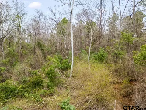 250 E Pliler Precise, Longview, TX 75605 photo 9