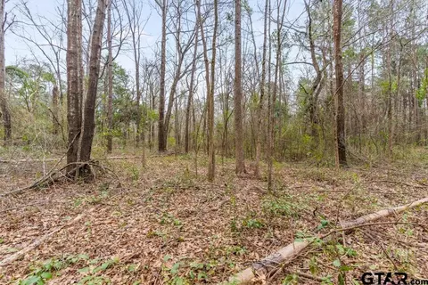 250 E Pliler Precise, Longview, TX 75605 photo 17