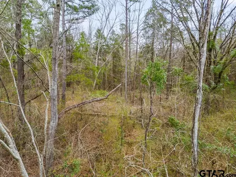 250 E Pliler Precise, Longview, TX 75605 photo 8