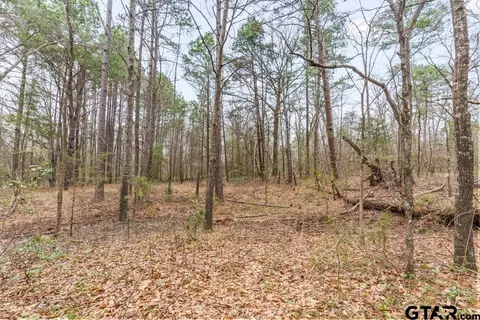 250 E Pliler Precise, Longview, TX 75605 photo 19