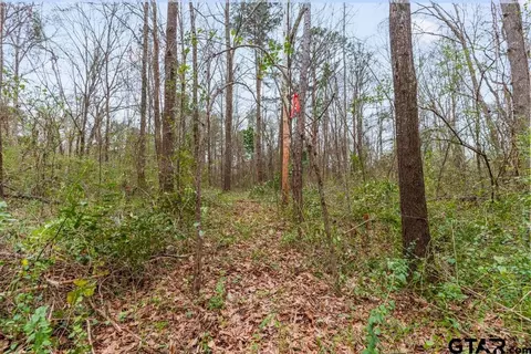 250 E Pliler Precise, Longview, TX 75605 photo 15