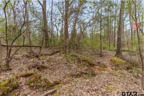 250 E Pliler Precise, Longview, TX 75605 photo 14