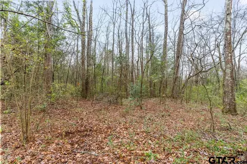 250 E Pliler Precise, Longview, TX 75605 photo 13