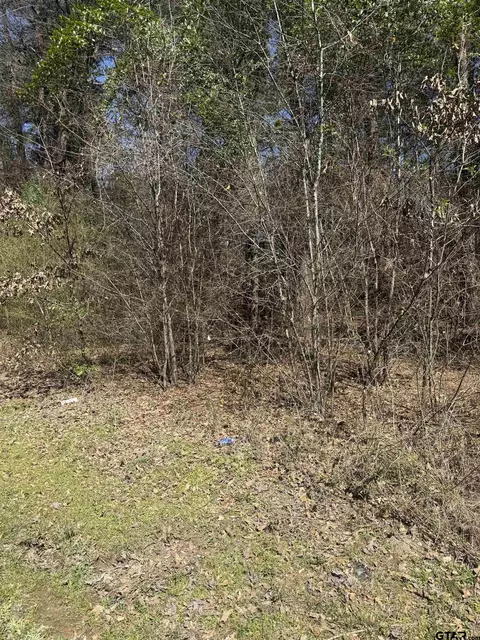513 Honeysuckle Trl, Mount Vernon, TX 75457