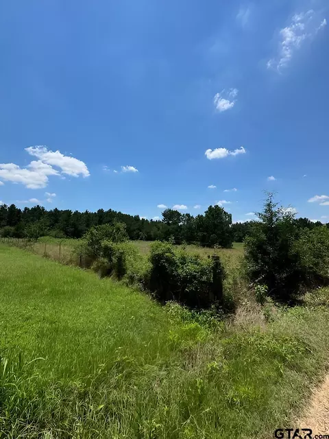 17728 E Farm To Market 346, Troup, TX 75789