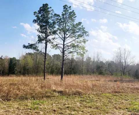 tbd N State Hwy 155 Lot 3 0905, Ore City, TX 75683