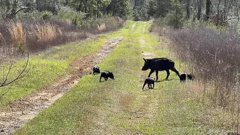 tbd E Hwy 59, Marshall, TX 75672 photo 4
