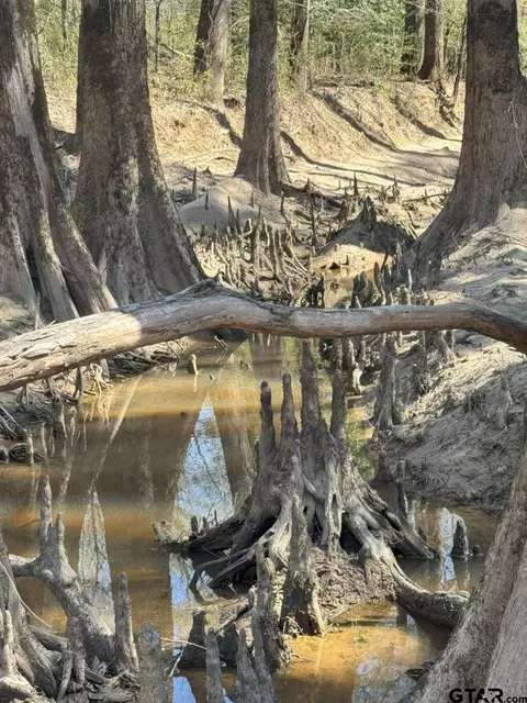 tbd E Hwy 59, Marshall, TX 75672 photo 7