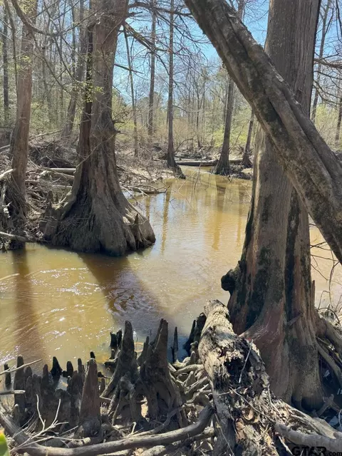 tbd E Hwy 59, Marshall, TX 75672 photo 5