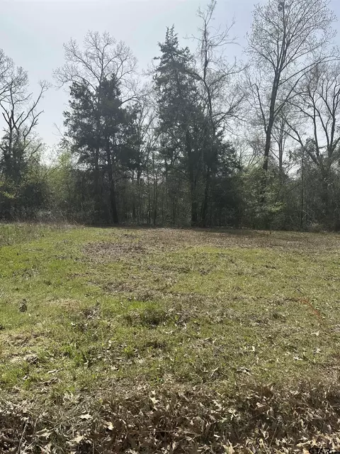 11259 County Road 490, Tyler, TX 75706