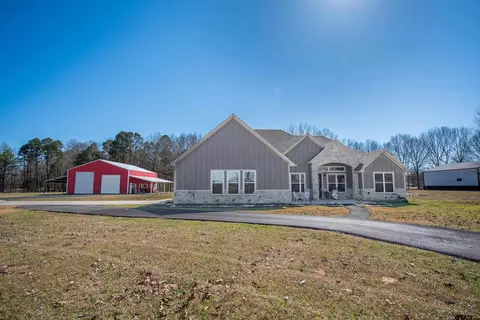 222 Sterling Shores Dr, Scroggins, TX 75480