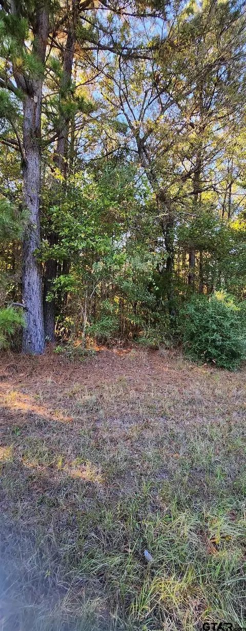 481 Log Rd, Marshall, TX 75670 photo 4