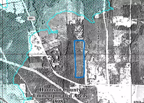 481 Log Rd, Marshall, TX 75670 photo 2