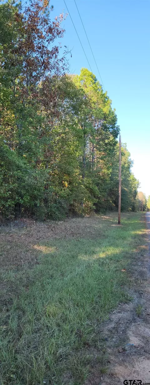 481 Log Rd, Marshall, TX 75670 photo 5