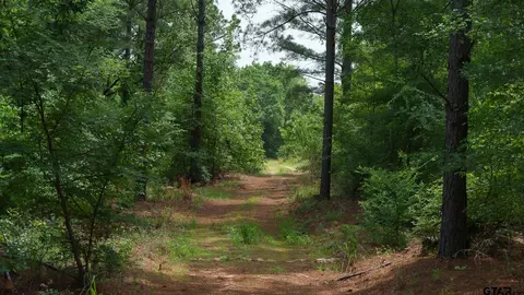 000 Hwy 64 #1, Ben Wheeler, TX 75754