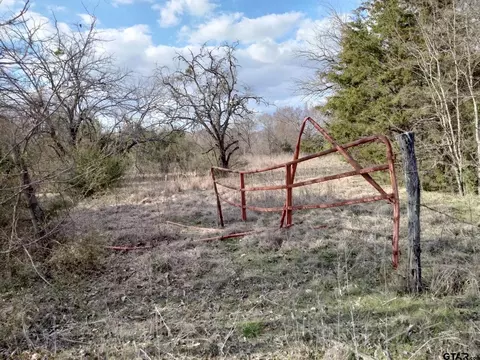 tbd Fm 410, Detroit, TX 75436